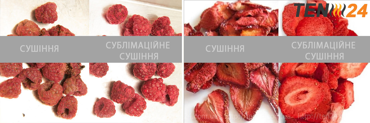 Дегідратор або субліматор: що краще для сушки продуктів?