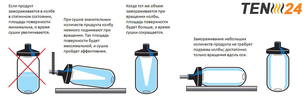 Ліофільна сушка: історія, технологія, ціна, особливості 